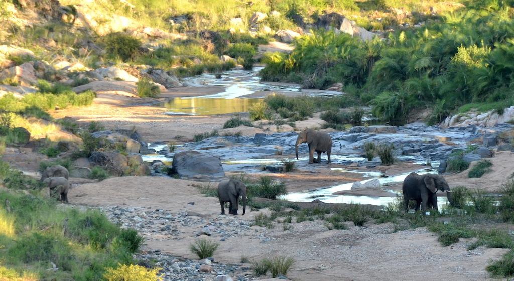 Greenfire Game Lodge Naturschutzgebiet Balule Exterior foto